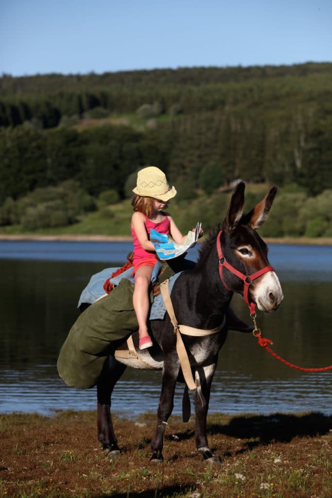 Balade avec un âne au lac